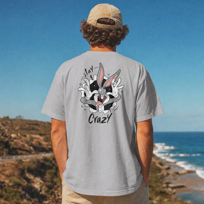 Grey oversized unisex t-shirt with a Stay Crazy Bugs Bunny graphic breaking through the fabric, back view